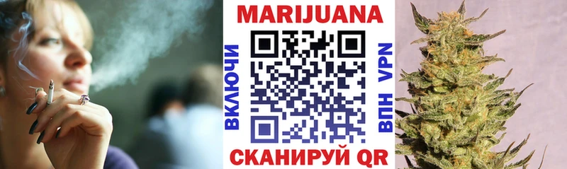 Где купить Сясьстрой гидра вход Гашиш