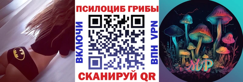 наркошоп  Сясьстрой  Псилоцибиновые грибы мицелий 